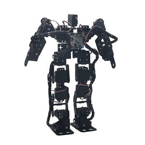 17 DOF Bipedal Humanoid Robot - Image 3