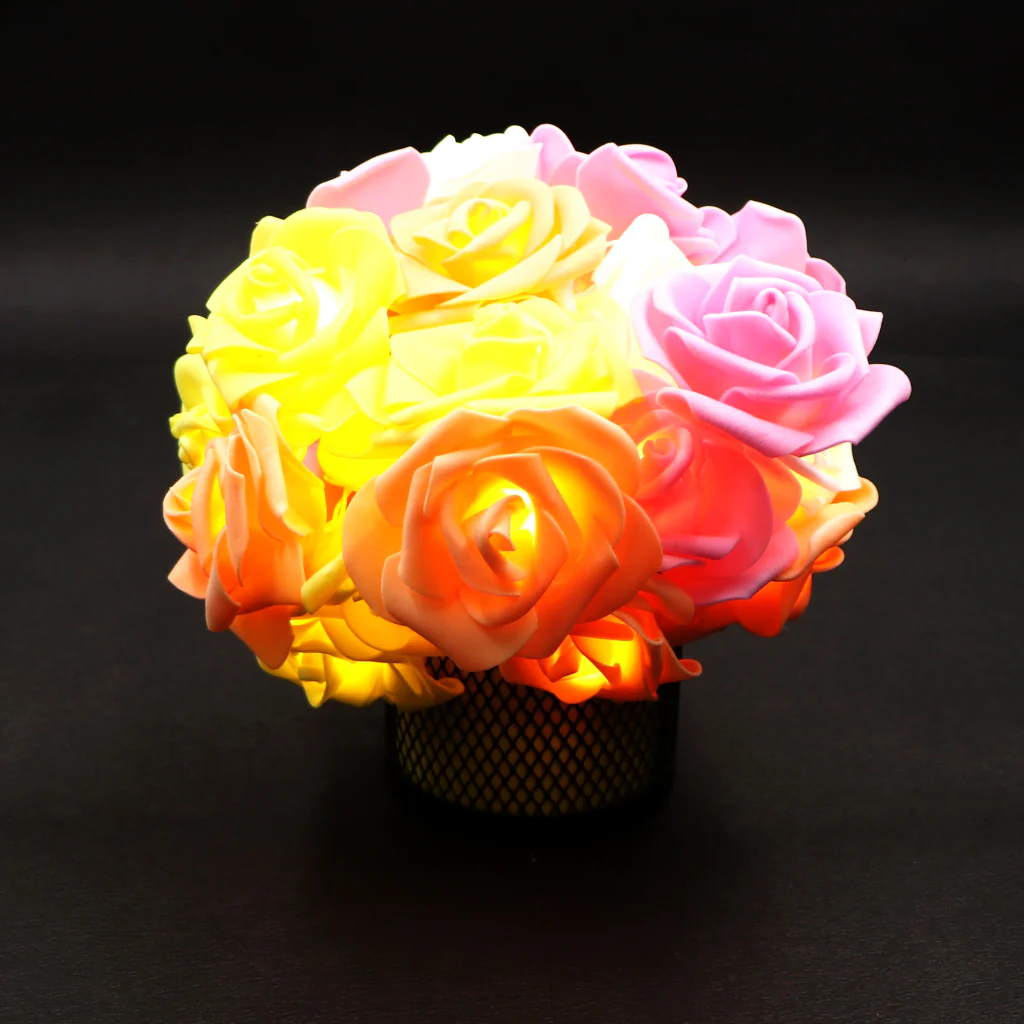 Big Roses Multi-Color 24 LED String Fairy Lights - Image 9