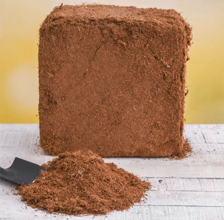 Cocopeat Block for Garden (Kg) - Image 2