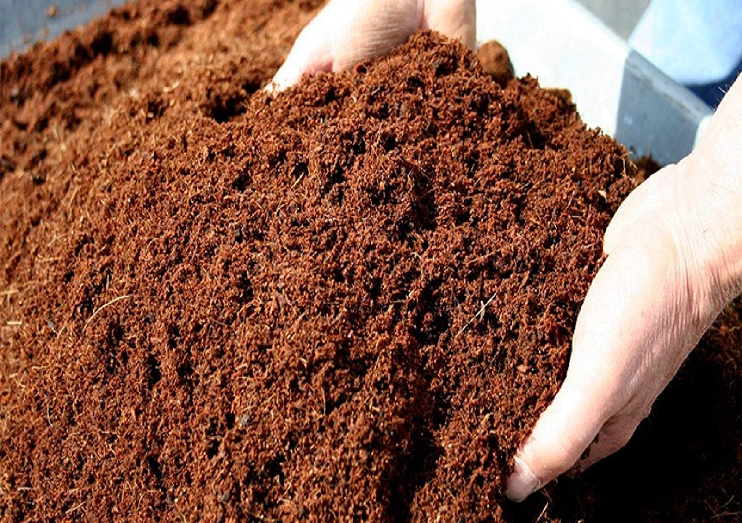 Cocopeat Block for Garden (Kg) - Image 3