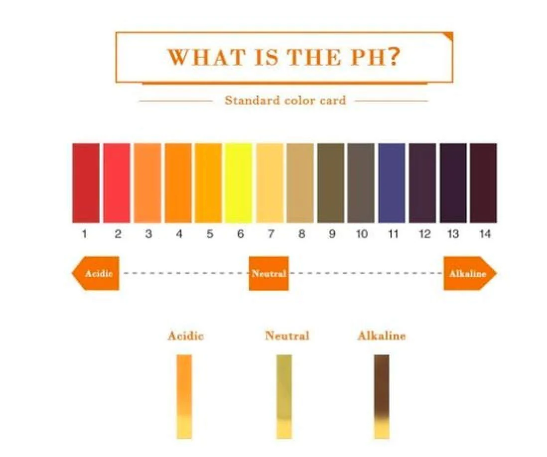 PH 1-14 Alkaline Test Paper Litmus Strips - Image 6