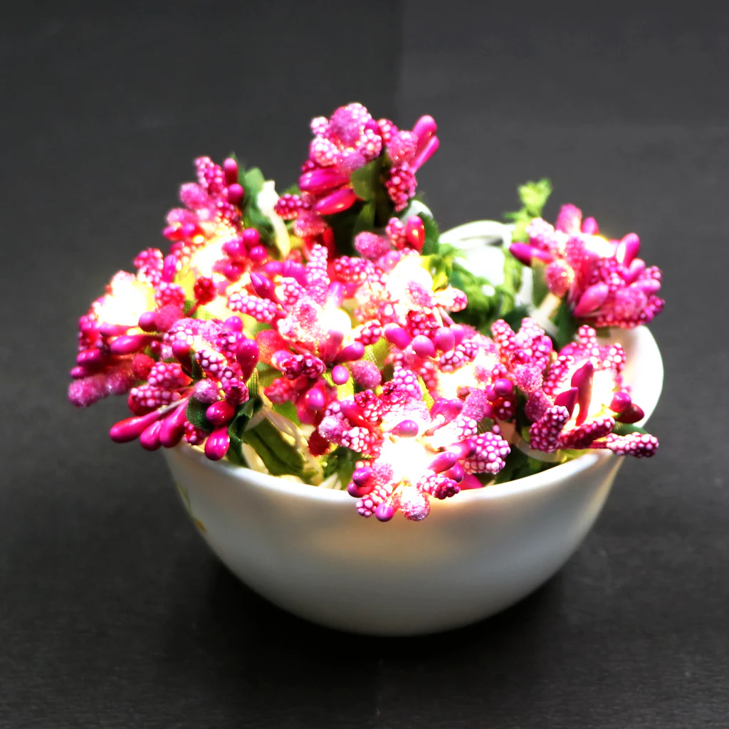 Pink Fruits Mulberry 16 LED String Fairy Lights